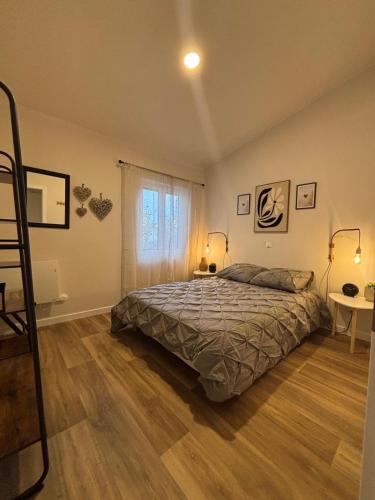 a bedroom with a bed and a ladder in it at LE PIED A TERRE SELESTADIEN in Sélestat