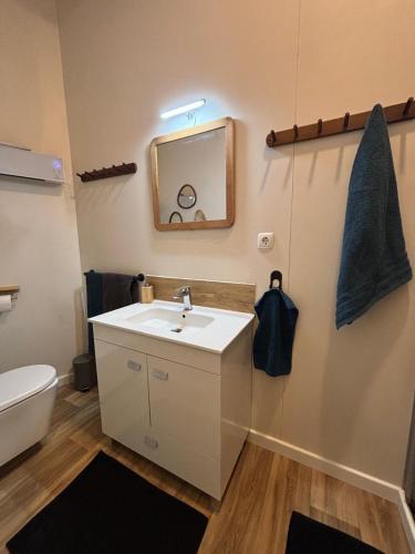 a bathroom with a sink and a mirror and a toilet at LE PIED A TERRE SELESTADIEN in Sélestat