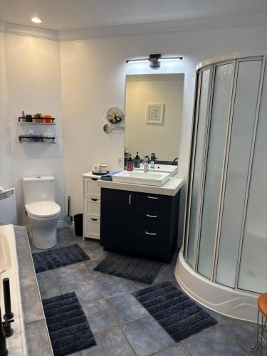 Saint-AntoninMaison d edouard的浴室里有洗手池、马桶和镜子。