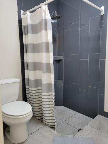 a bathroom with a toilet and a shower curtain at Departamento Independiente y Acogedor in Ciudad Juárez