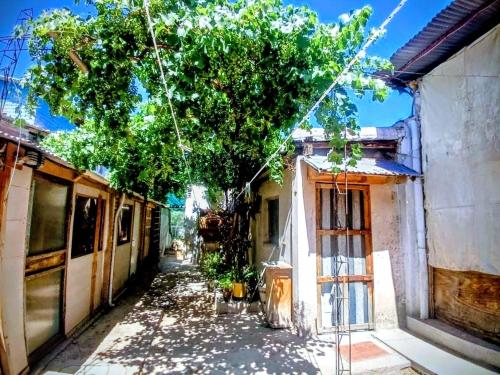 an alley with a tree in the middle of a building at La Casona Hostel in Bermejo