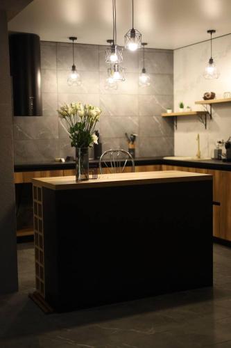 Η κουζίνα ή μικρή κουζίνα στο In Black forest