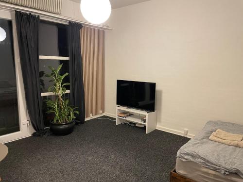 a living room with a flat screen tv and a plant at Cozy Stay, 10 Min to Esbjerg Centrum in Esbjerg
