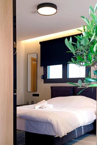 Sky Loft
