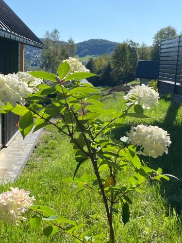 Φυσικό τοπίο κοντά σε αυτή η παραθεριστική κατοικία