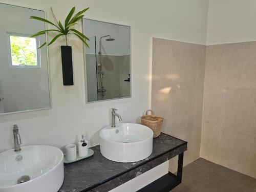 a bathroom with two sinks and a plant on a counter at Kalma - 2 Bedroom Villa with Private Pool in Santander