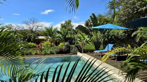 una piscina con una silla y una sombrilla en Tee-K Lodge Tamarindo, en Tamarindo