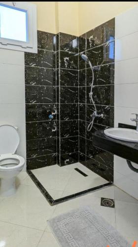 a bathroom with a shower with a toilet and a sink at Karima house B in Al Aqālitah
