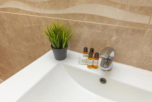 a bathroom sink with a plant and three bottles on it at B81 - Casa do Outeiro Westcoast Home in Vila do Bispo