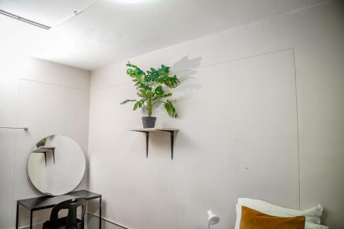 a room with a mirror and a plant on the wall at Cosmic Leopard in Cape Town