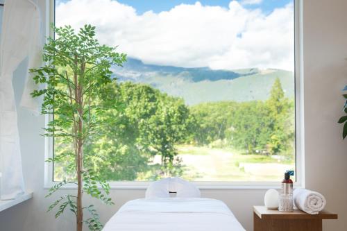 Vive Boutique Hotel - Echoland