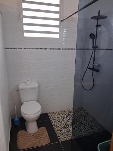 a bathroom with a toilet and a shower at Kaz o ti plezi in Sainte-Rose