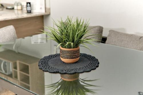 a potted plant sitting on top of a table at Casa Los Tules No 10 in Ciudad Guzmán