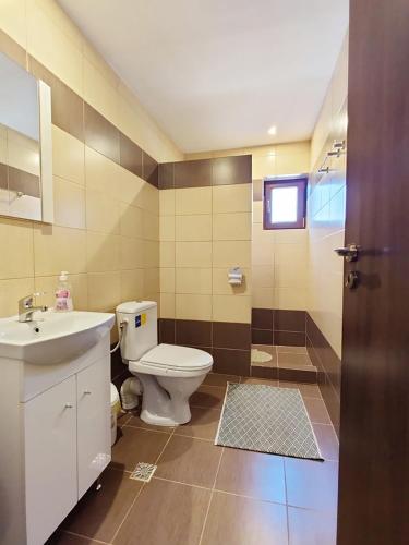 a bathroom with a toilet and a sink at Casa Isabela in Ocna Sibiului