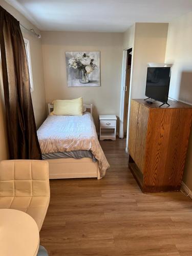 Un pequeño dormitorio con una cama y un televisor. en Cozy Studio Apartment, en Thunder Bay