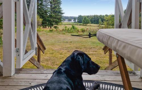 Κατοικίδιο ή κατοικίδια επισκεπτών που μένουν στο 3 Bedroom Nice Home In Vittsjö