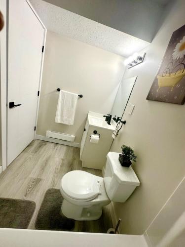 a bathroom with a white toilet and a sink at Cozy guest house in Regina