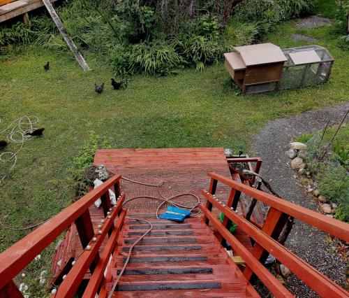 The Abel Tasman Treehouse外面的花园