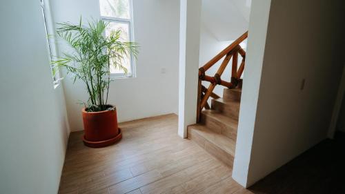 Фотография из галереи Aguamiel La Punta в городе Brisas de Zicatela