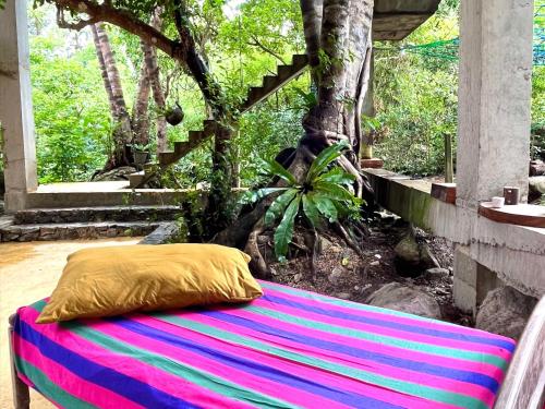 Κήπος έξω από το Hanuman Heights