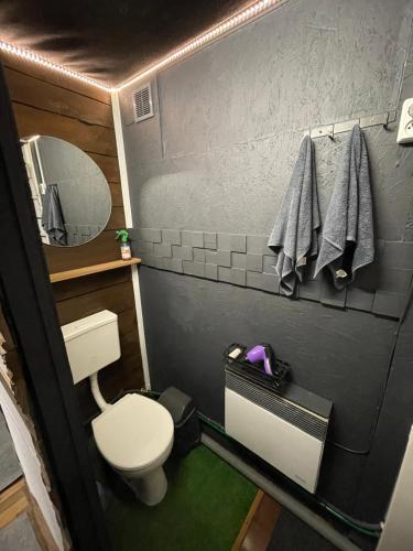 a small bathroom with a toilet and a mirror at Scandinavia bungalow in Kamennaya Gora