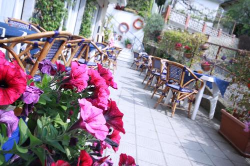Κήπος έξω από το Hotel Eva La Romantica