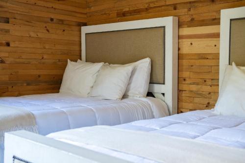 two beds in a room with wooden walls at Hotel Valle 13 Ruta del Vino in Valle de Guadalupe
