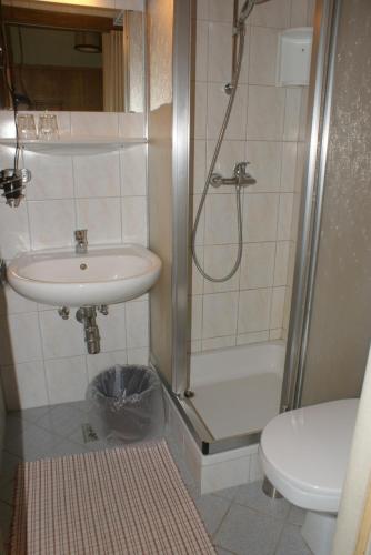 a bathroom with a shower and a sink and a toilet at Familie Lampersberger in Sachsenburg