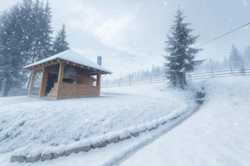 Cabana Brazilor om vinteren