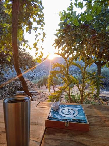 a wooden table with a book and a cup on it at GP Cortijo Palmera 