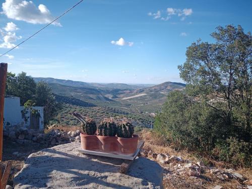 GP Cortijo Palmera - Cortijo de las Chozas的山坡上的长椅上摆放着两盆盆栽。