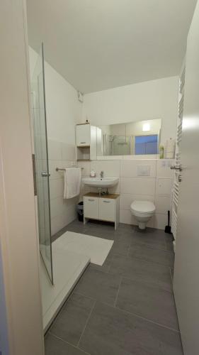 a bathroom with a shower and a sink and a toilet at Studio-Apartment Goslar in Wolfenbüttel