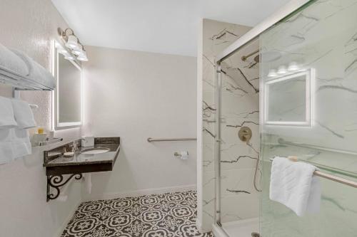 a bathroom with a shower and a sink at Windsor Hotel, an Ascend Collection Hotel in Americus