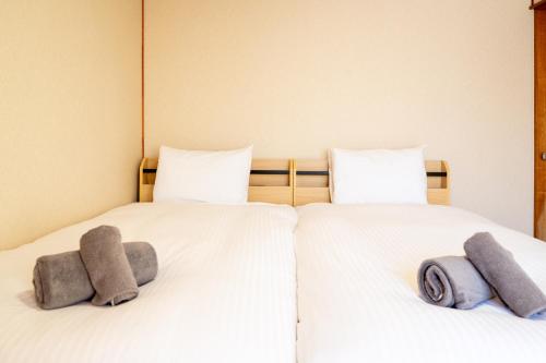 Green Dream House -5 mins drive to ski field-