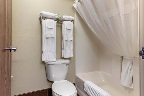 y baño con aseo, ducha y toallas. en Comfort Suites Grandville - Grand Rapids SW, en Grandville