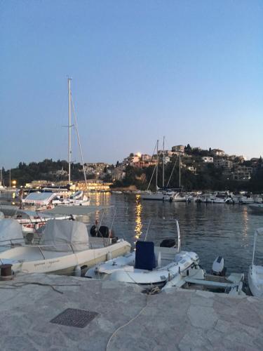 a group of boats are docked in a harbor at Virvilis Apartments in Sivota