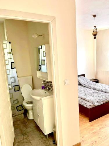 a bathroom with a bed and a toilet and a sink at Casa Cosmina in Sînnicolau Mare
