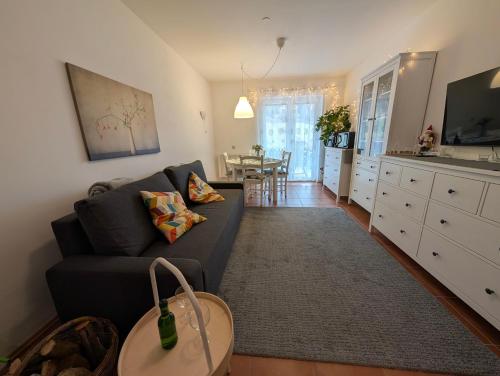 巴德小基希海姆Alpenglück - Ferienwohnung的带蓝色沙发的客厅和厨房