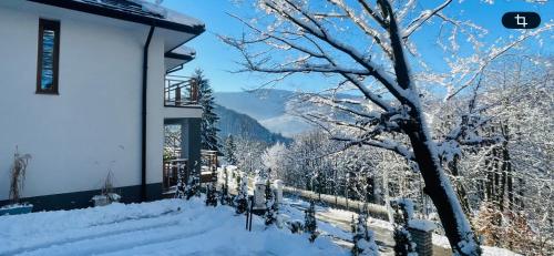 a house covered in snow next to a tree at Dwupoziomowe Apartamenty Leszczyna in Ustroń