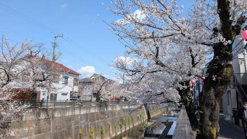 Brand New Apt! 7 Mins to Ikebukuro, Local Vibe Rino Verdi
