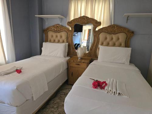 Apelles Palace Guest House - standard room 2