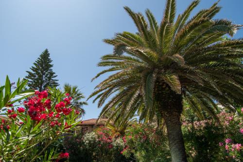 Foto dalla galleria di Hara Studios a Laganas