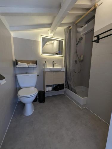 a bathroom with a toilet and a sink and a shower at Suite l'Escoundudo in Aix-en-Provence