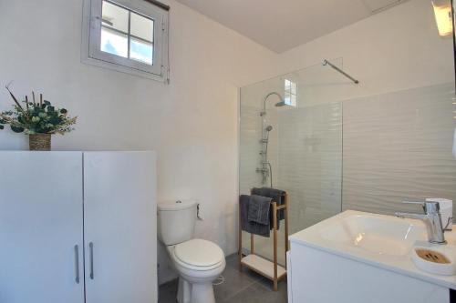 Villa Macaré في Quartier du Fond Fleuri: حمام مع مرحاض ومغسلة ودش