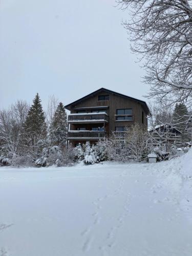 una casa nella neve vicino a un campo innevato di Chalet Alte Post a Lago Schwarzsee