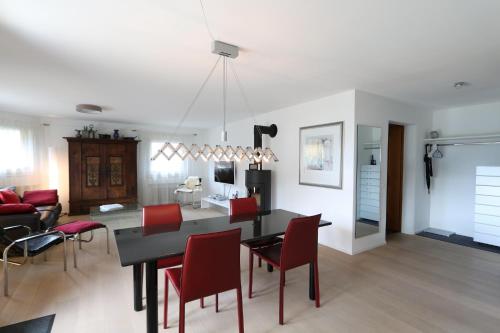 Apartment Falcun