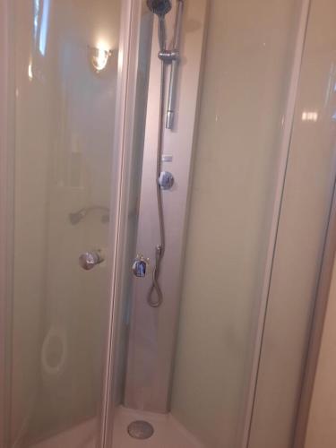a shower with a glass door in a bathroom at Parc Sonnleiten - Chalet 4 persoons in Gnesau
