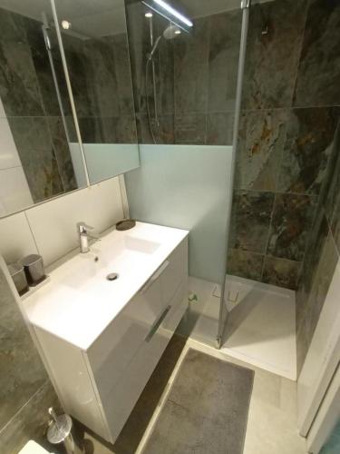 a bathroom with a white sink and a shower at Gîte charles in Capbreton