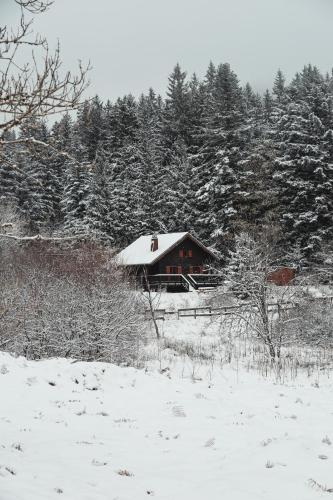 Chalet à 5 minutes de Gérardmer avec étang