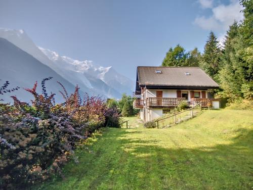 Příroda nedaleko chaty